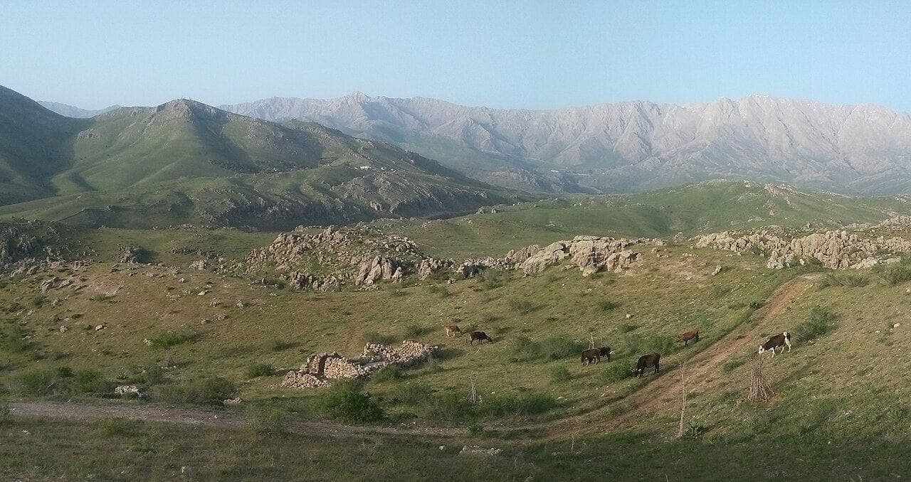 دەشتێکی سەوز و زنجیرەچیای دوور